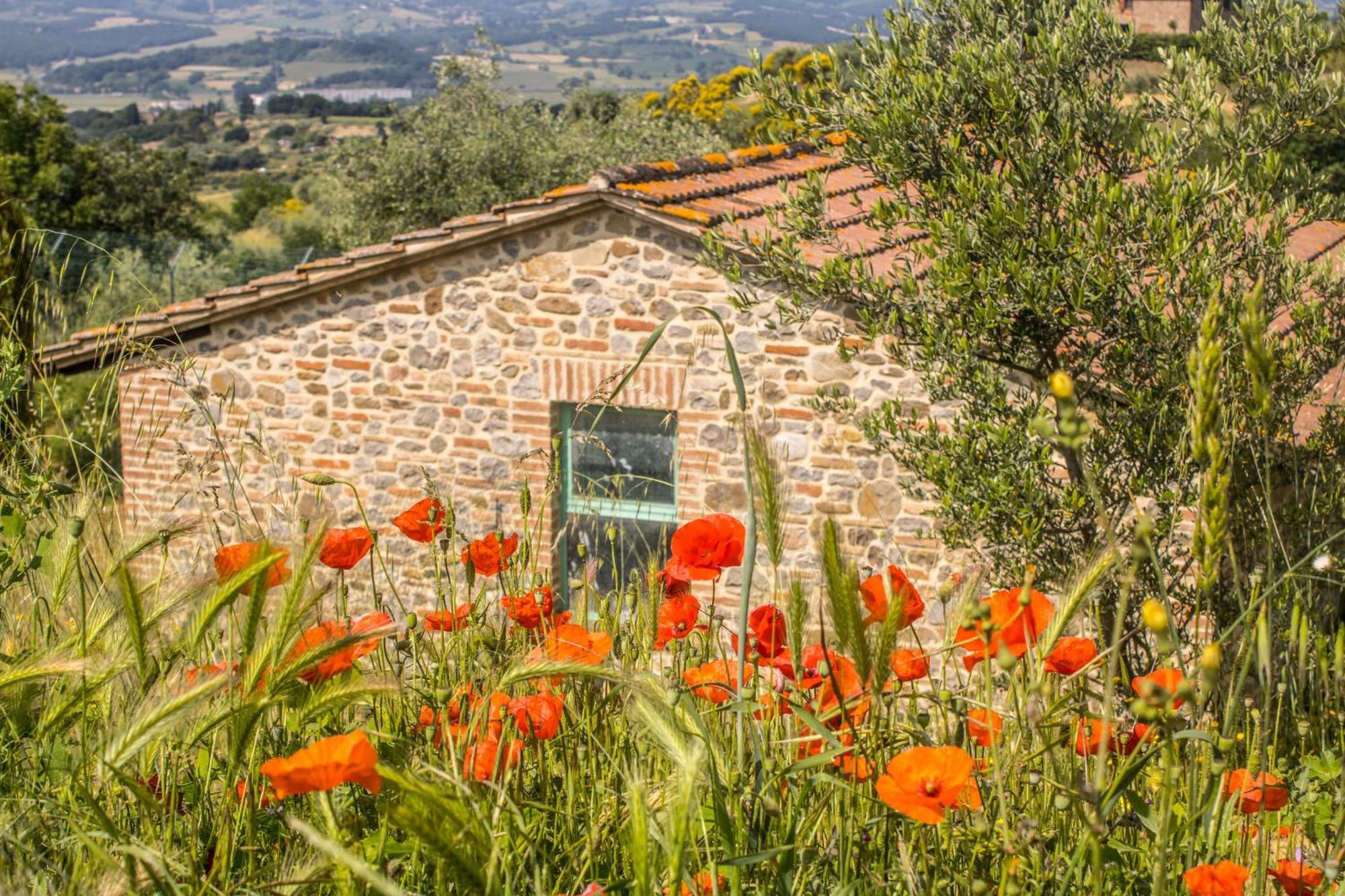 Agriturismo Dandelion Città della Pieve المظهر الخارجي الصورة